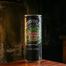 Club Soda 330ml Can